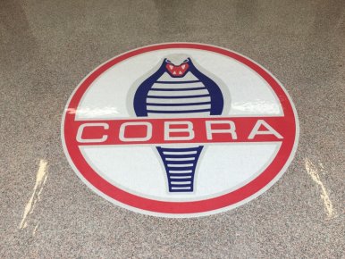 Tampa Garage Floor Logo Installation